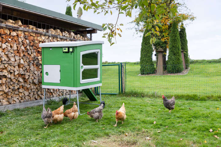 KERBL SmartCoop Steuerung